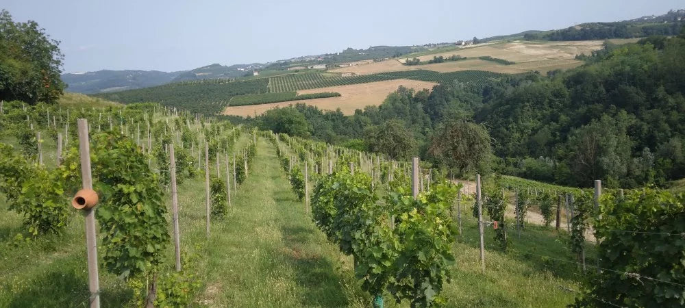 Aldo Marenco - Pic Nic + E-Bike Aldo Marenco Piemonte