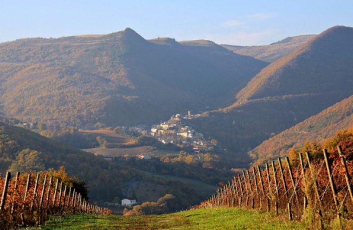 Terre di Serrapetrona - Tenuta Stefano Graidi Full Immersion Terre di Serrapetrona Marche