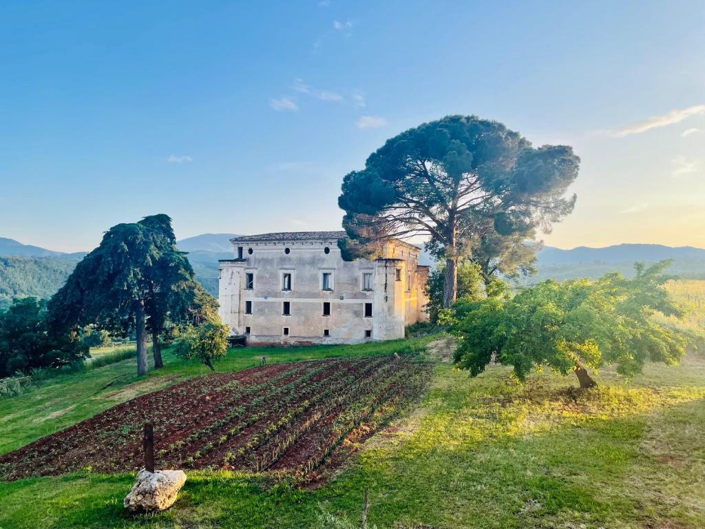 Tenute Pacelli - Soggiorno & Degustazione Tenuta Pacelli Calabria