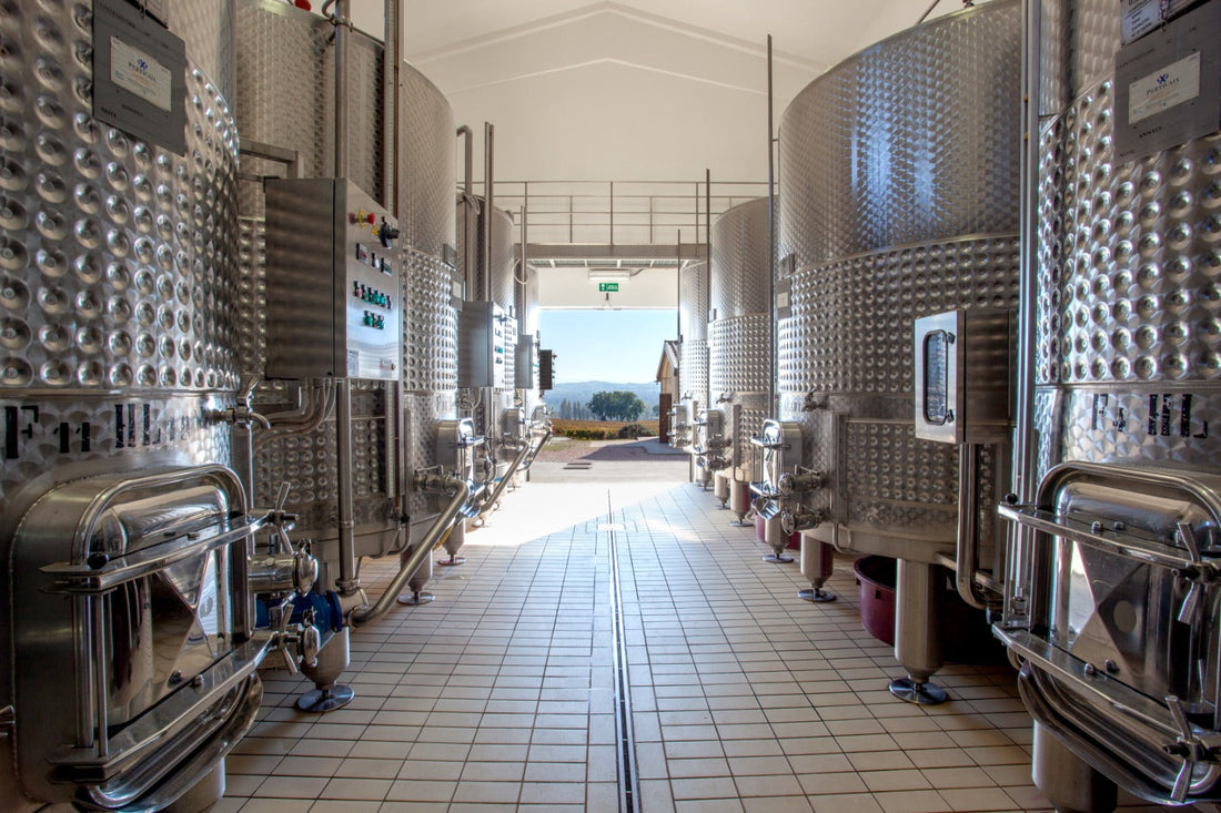 Cantina Perticaia - Wine Experience Exclusive Cantina Perticaia Umbria
