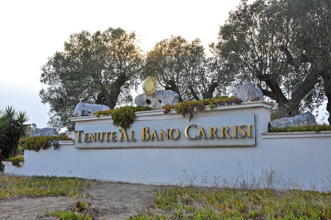 Tenute Al Bano - The Wine & Wellness Tenute Al Bano Puglia
