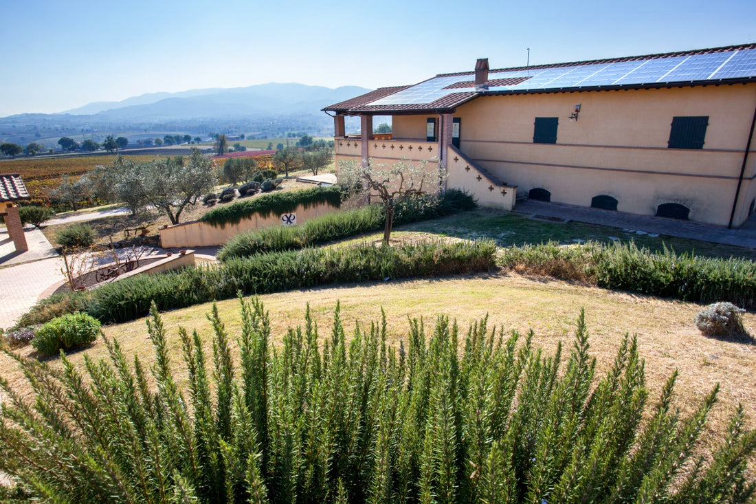 Cantina Perticaia - Wine Experience Exclusive Cantina Perticaia Umbria