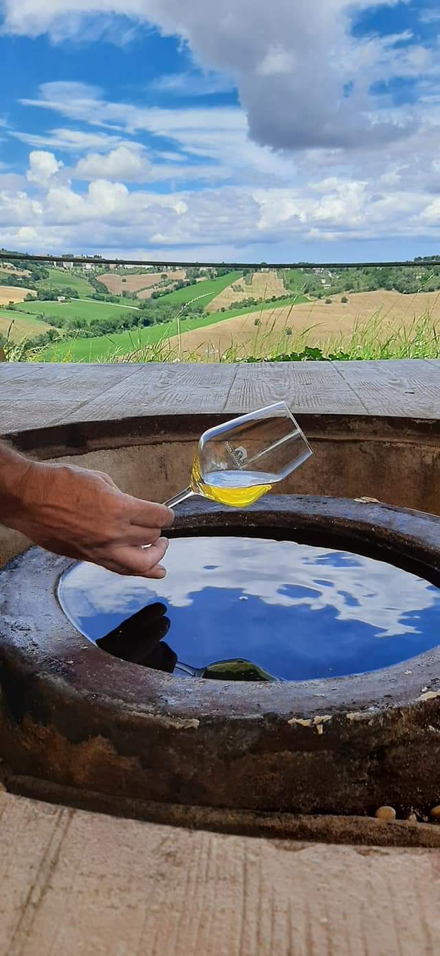 Tenuta San Marcello - Esperienza Pace dei Sensi Tenuta San Marcello Marche