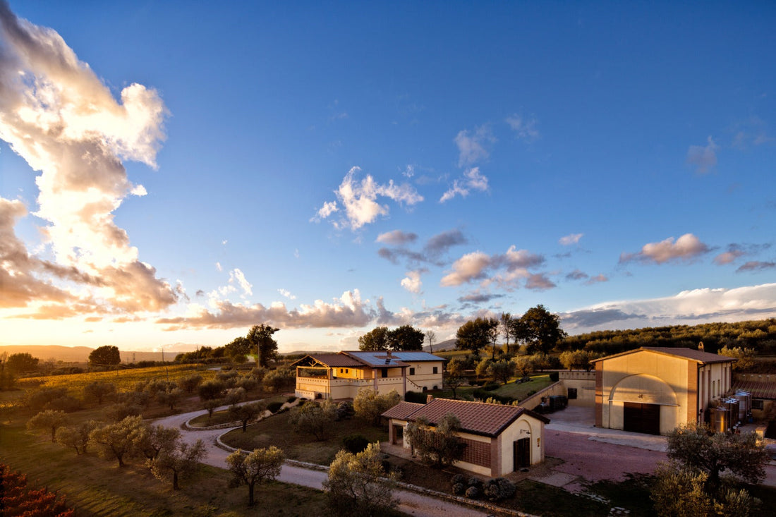 Cantina Perticaia - Wine Experience Exclusive Cantina Perticaia Umbria