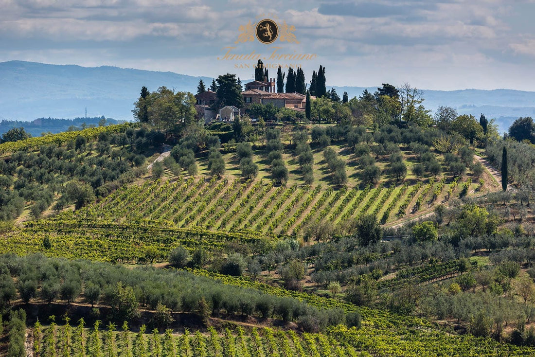 Torciano Winery - Soggiorno & Degustazione Torciano Winery Toscana