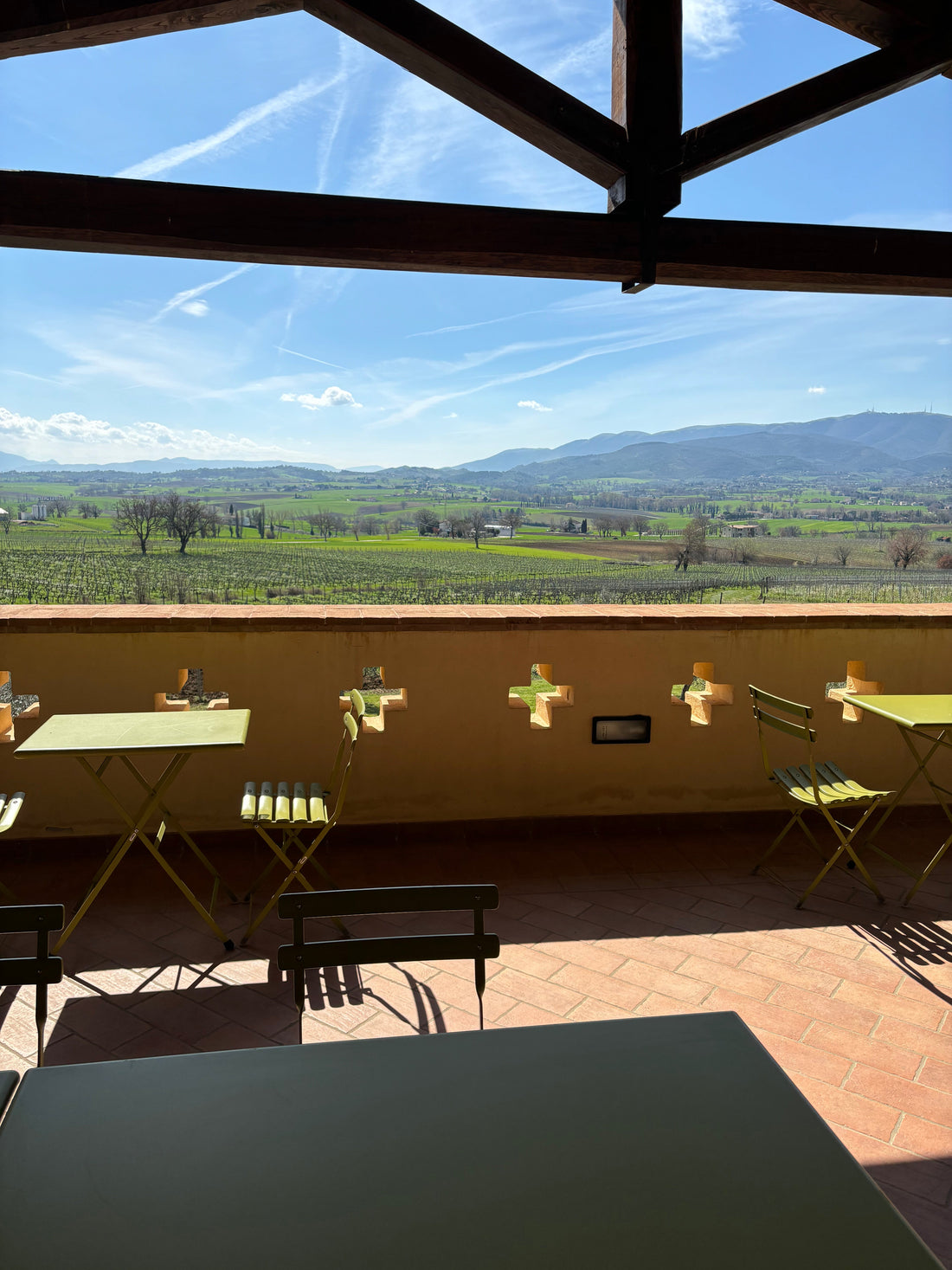 Cantina Perticaia - Wine Experience Exclusive Cantina Perticaia Umbria