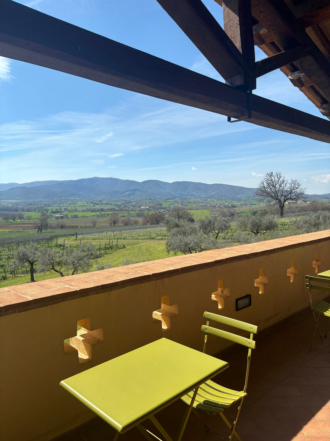 Cantina Perticaia - Wine Experience Exclusive Cantina Perticaia Umbria
