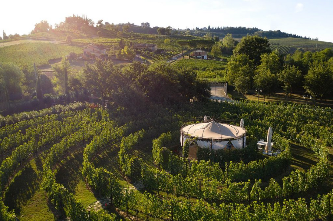 Torciano Winery - Ferrari Wine Tour Torciano Winery Toscana