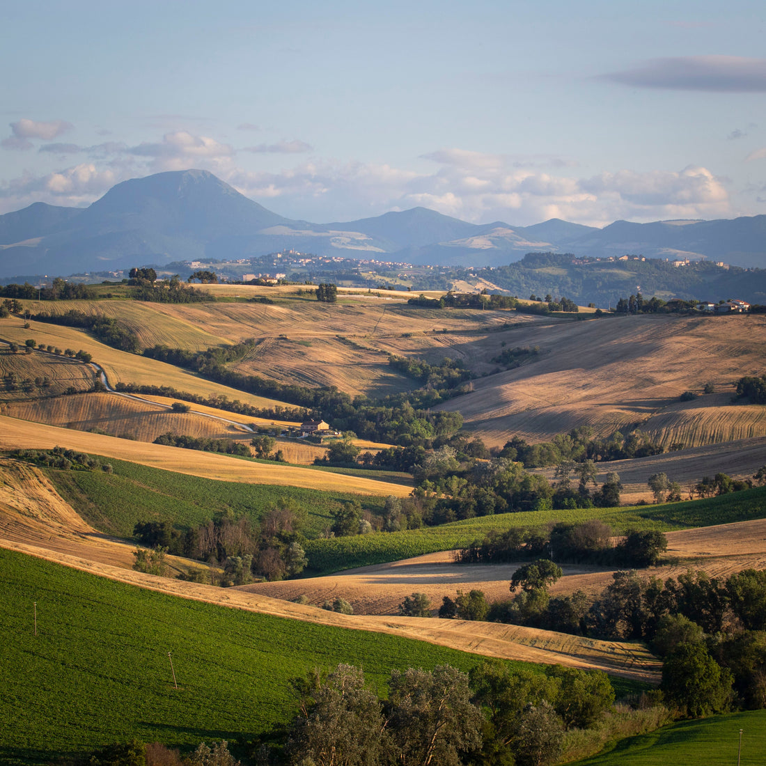 Tenuta San Marcello - Esperienza Pace dei Sensi Tenuta San Marcello Marche