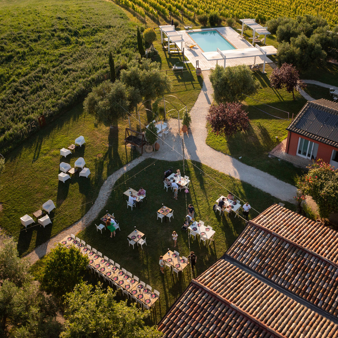 Tenuta San Marcello - Esperienza Pace dei Sensi Tenuta San Marcello Marche