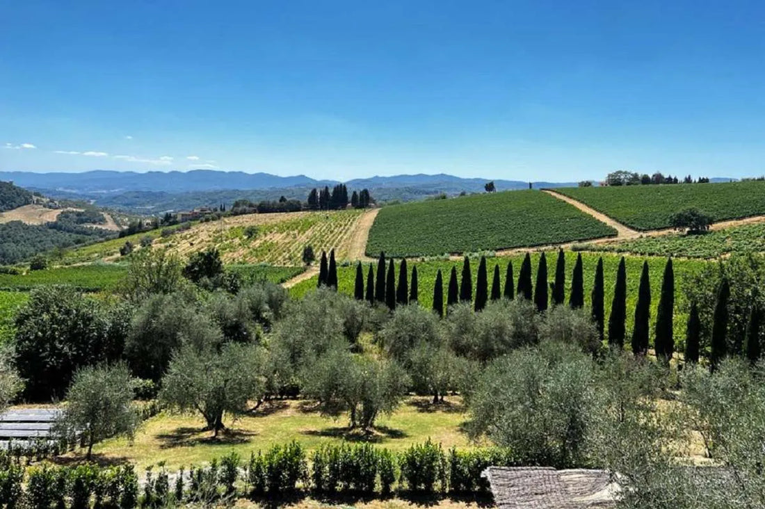 Travignoli - Old Special Vintage Travignoli Toscana
