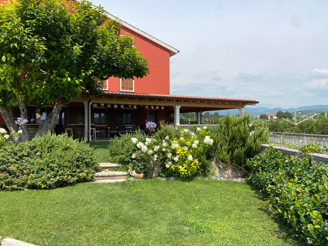 Cantina Mizzon - Amarone Experience Az.Agr.Mizzon Veneto