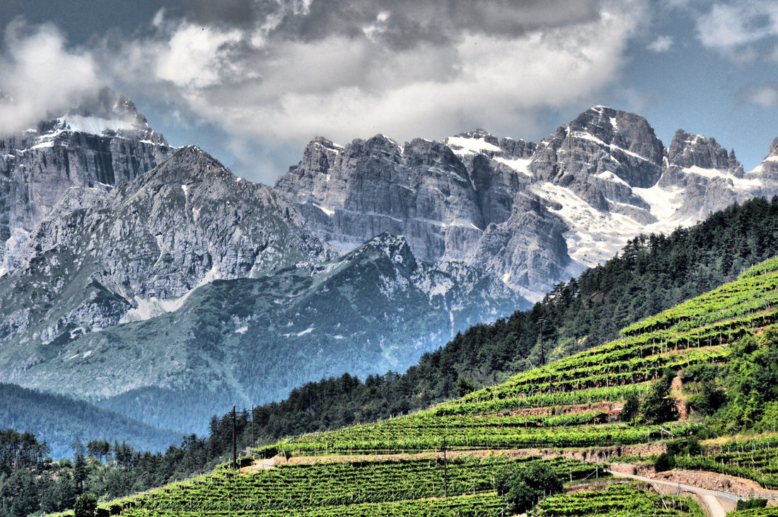 Villa Corniole - Visita e Degustazione in cantina Villa Corniole Trentino Alto Adige