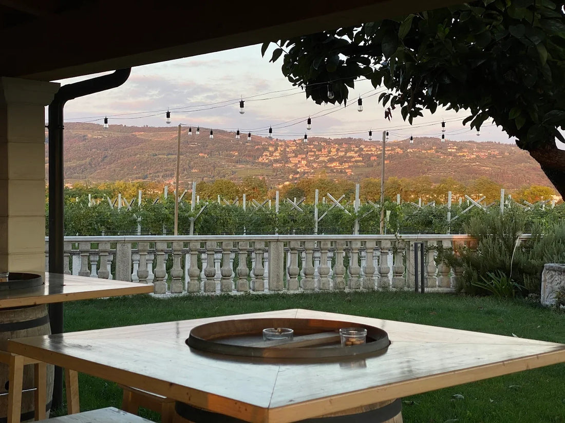 Cantina Mizzon - Amarone Experience Az.Agr.Mizzon Veneto