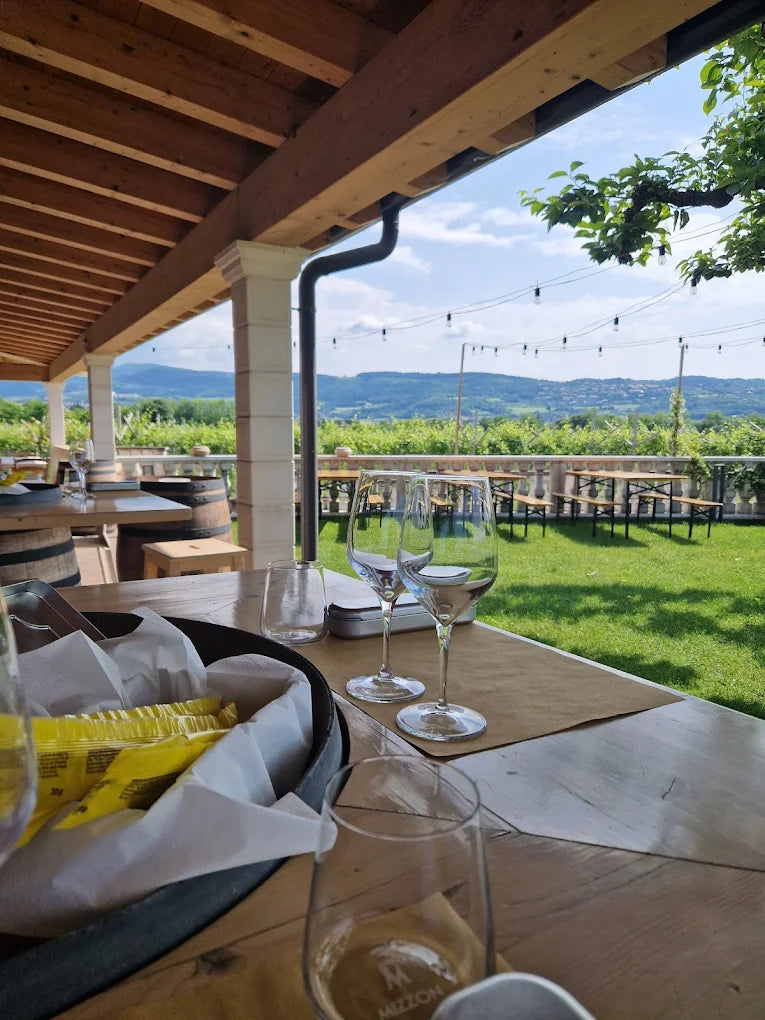 Cantina Mizzon - Amarone Experience Az.Agr.Mizzon Veneto